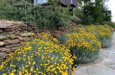 Medronho D'Ouro bungalows - Foto 29