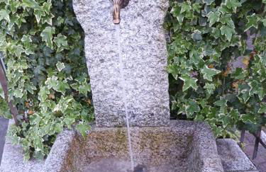 La Mergozzina - Foto 20