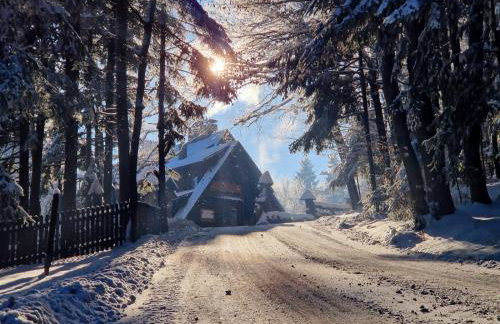 Bacówka Biały Jeleń - Photo 57