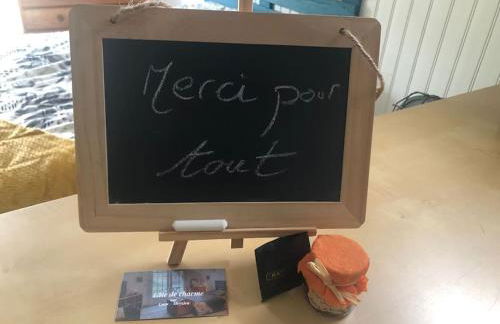 Studio de charme pour séjour tranquille à deux - Groupama Stadium - LDLC Aréna - Fiducial Astéria - Eurexpo - Aéroport St Exupéry - Base nautique du Grand Large - Foto 42