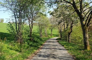 Sonnen Panorama - Abenteurer und Weltentdecker - Foto 29