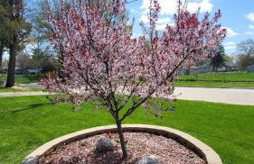 Urban Farmer House - Foto 19