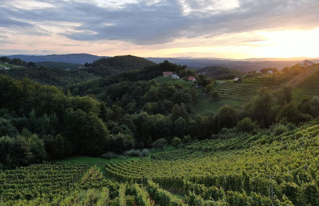 Vineyard Cottage Urban - Foto 14