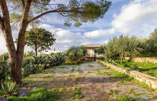 Verosicily Panoramic House with access to the sea - Foto 41