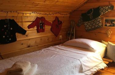 Vytina log house - Photo 8