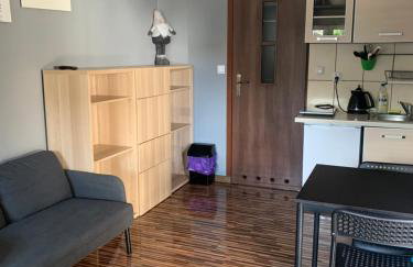 Domki całoroczne - u Ptaka - Miłków - Foto 9