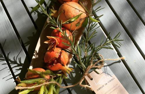 Cortijo La Viñuela - Foto 15