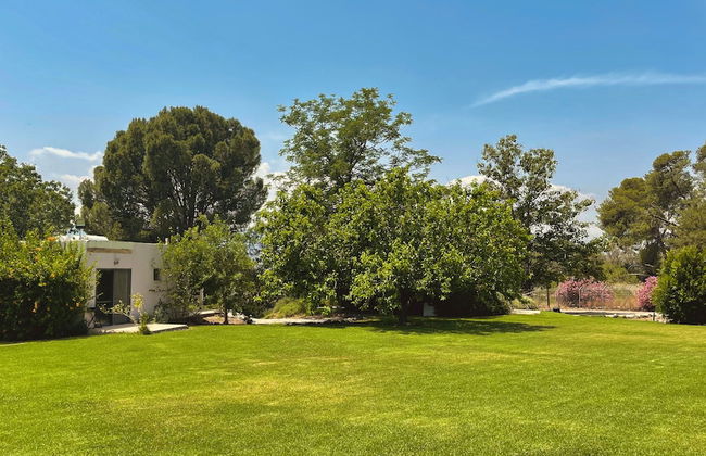 Nofey Habashan - Foto 77