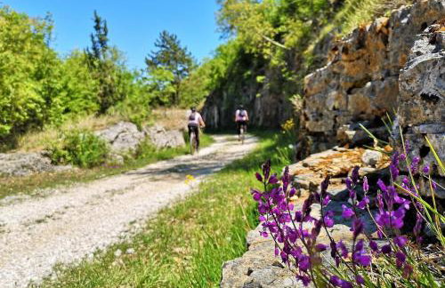 Villa Salvore - new luxury house, heated pool, near beaches, playroom - Istria - Foto 75