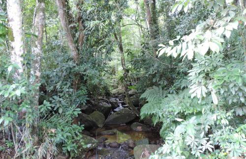 Casa Orquídeas Ubatuba Praia da Lagoinha - Foto 60
