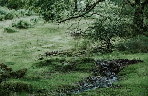 Willow Cabin & Hot Tub - Foto 11