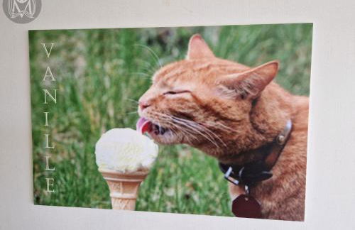 Weingut im Moselkrampen - Foto 53