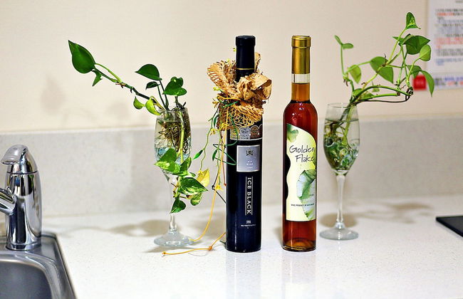 Famille Spa Resort - Foto 52