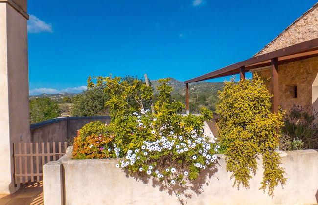 Finca Ses Cases Noves - Foto 57