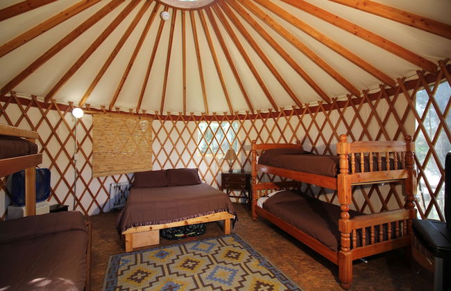 Out 'N' About Treehouse Treesort - Foto 45