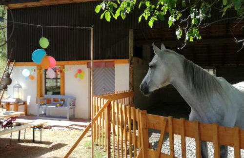 Zurück zur Natur - Urlaub im Zirkuswagen, Sommeratelier oder Schindelwagen - Foto 24