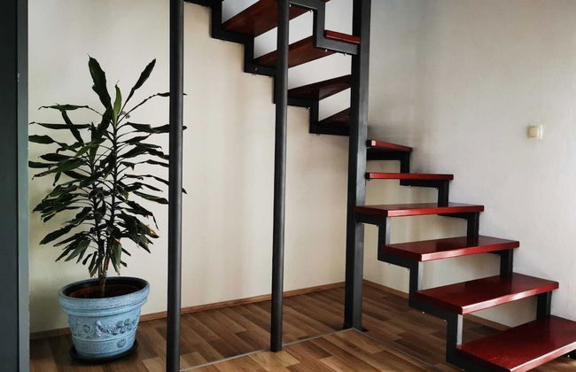 Villa Mediteraneo Dalmatia - Photo 24