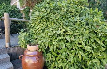 Meublé de tourisme "Les brosses tillots" - Foto 24