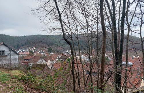 Ferienwohnung Unterm Rappenfels - Foto 28