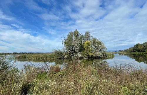 Lovačka kuća Draganić - Foto 44