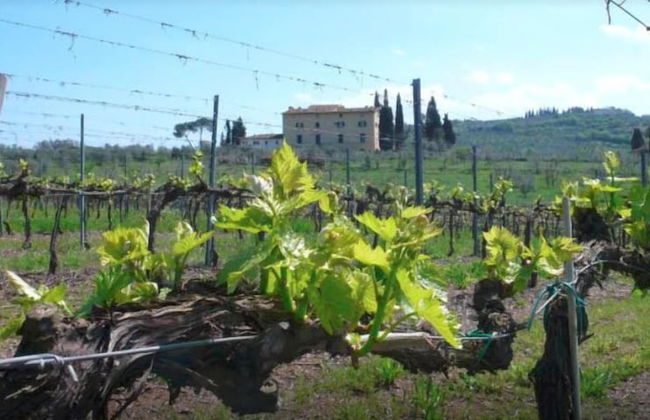 La Capannaccia - Foto 36