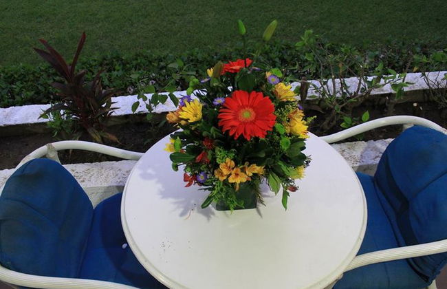 Coral Ixtapa - Foto 12