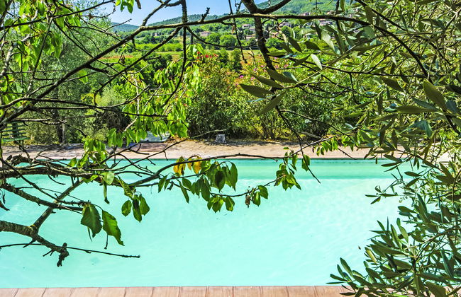 Il Ligustro - Foto 11