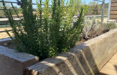 "Passage en Provence" appartements avec terrasse et piscine - Foto 43