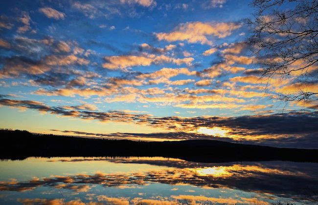 Vildmarks Lodge - Photo 40