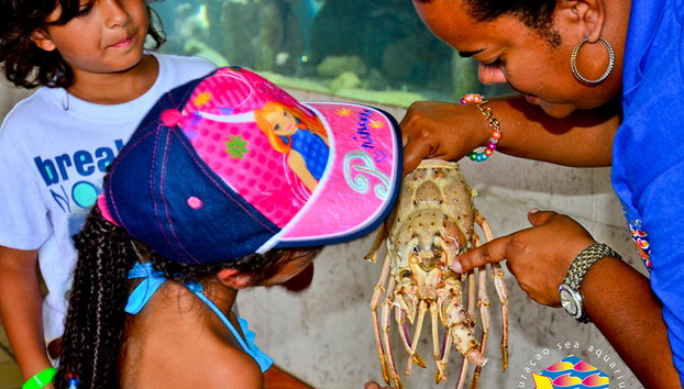 Sea Aquarium and Sea Aquarium Beach Tour - Photo 3