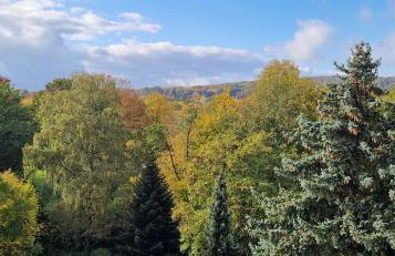 Vollklimatisierte Maisonette Wohnung -Whirlpool, Dachterrasse, Weitblick, Fahrstuhl, Kliniknähe - Foto 25