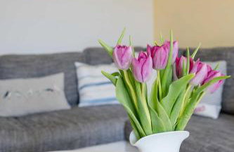 Bauernhof Marquardt - Foto 50