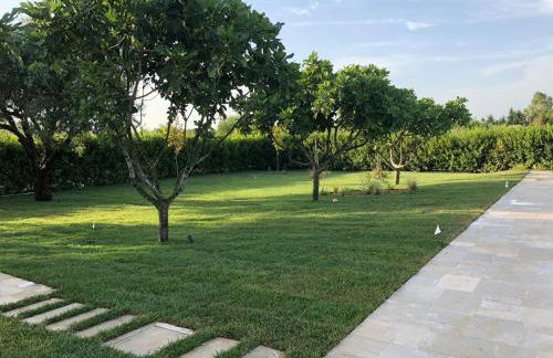 Masseria Mattiani - Foto 44