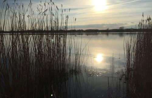 Sternkieker - Photo 20