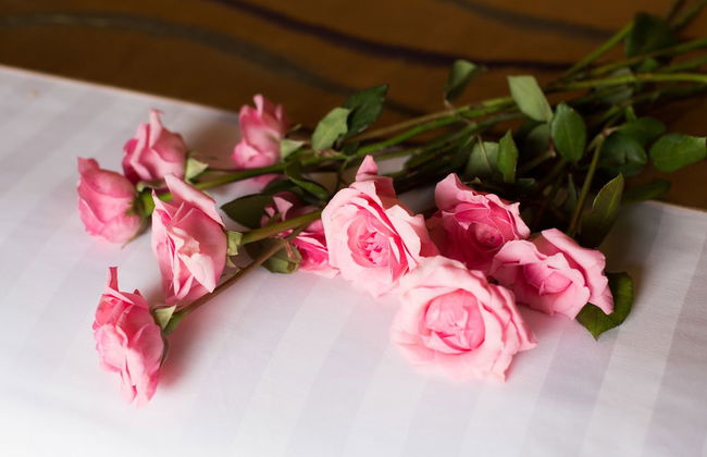 Villa Seriska Dua Sanur Bali - Foto 5