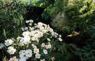 Apartment Vlado - Foto 28