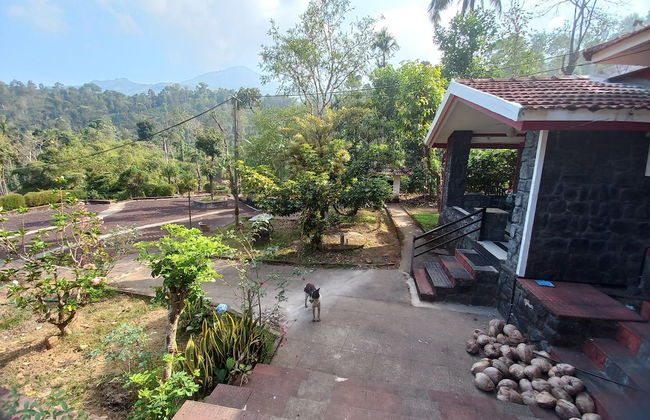 Manikkal Outhouse Cottage Wayanad - Foto 17