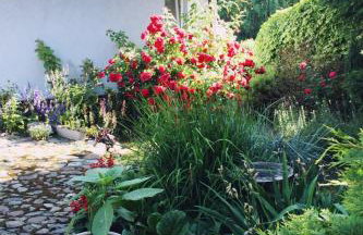 Pod Modrzewiem - Foto 26