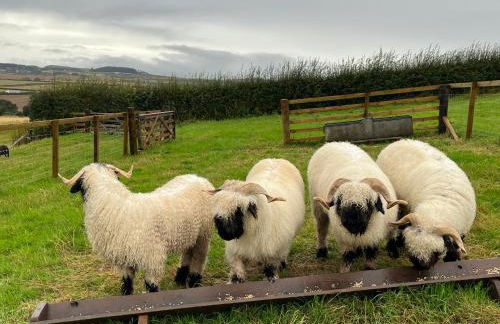 Garden Bank Cottage - Foto 30