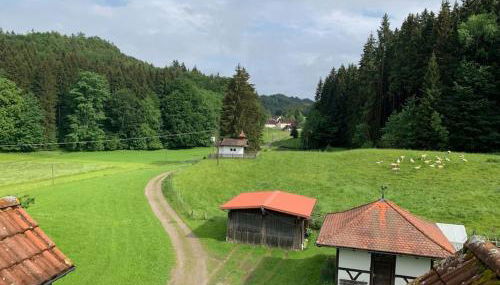 Idyllisches Ferienapartment Allgäu (Ehwiesmühle) - Foto 3