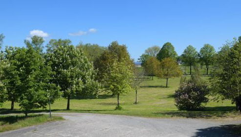 Ferienwohnungen Zum Paradies - Foto 2, Garden