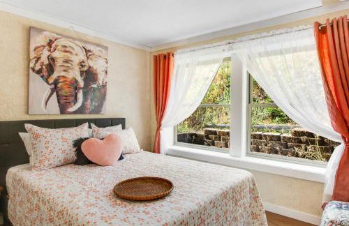 The Skis Knees - Foto 15