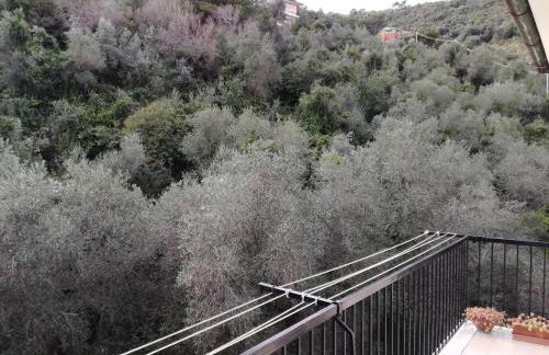 Olivo apartment with sea view - Photo 14