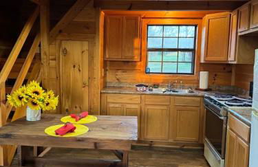 Dream of a Log Cabin - Foto 8