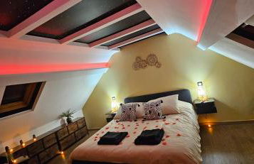 L'Hortillon - Photo 37