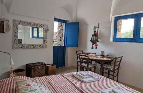 Dammusi Musa - Foto 20