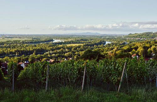 Boutique Apart & Gästehaus Le Rossignol - Foto 63