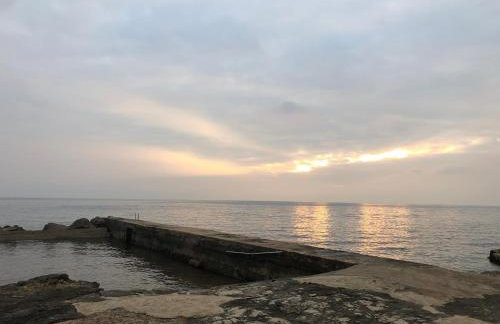 App Sorgo - Photo 64