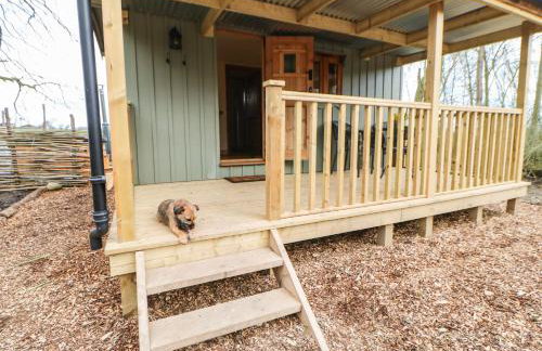 Bracken Fern - Photo 20