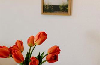 The Cozy Cottage - Foto 17